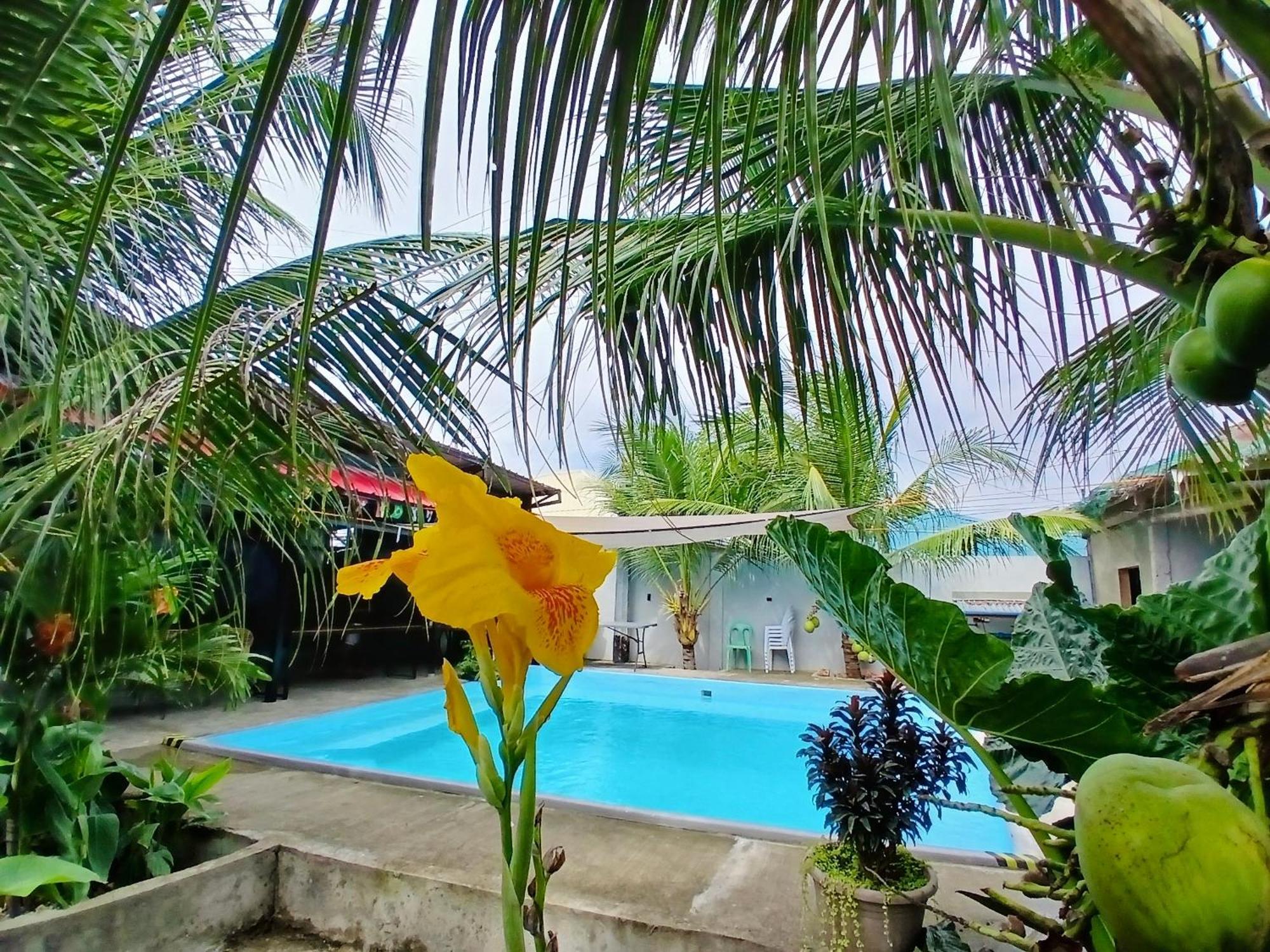Ananas Guesthouse Моалбоал Екстериор снимка