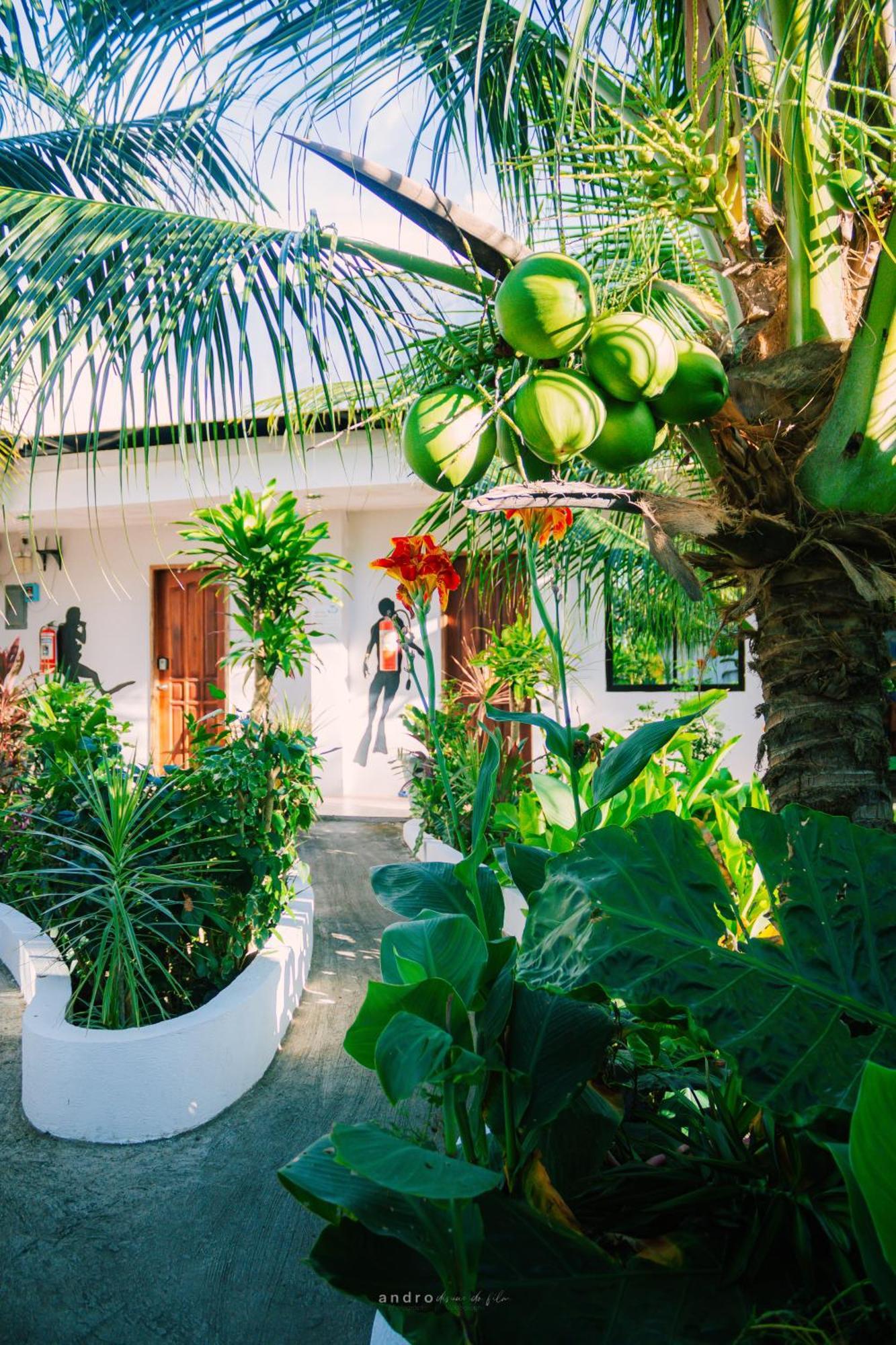 Ananas Guesthouse Моалбоал Екстериор снимка